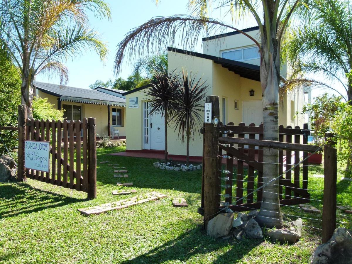 Los Palmares Del Urugua-I Bungalows Colón المظهر الخارجي الصورة